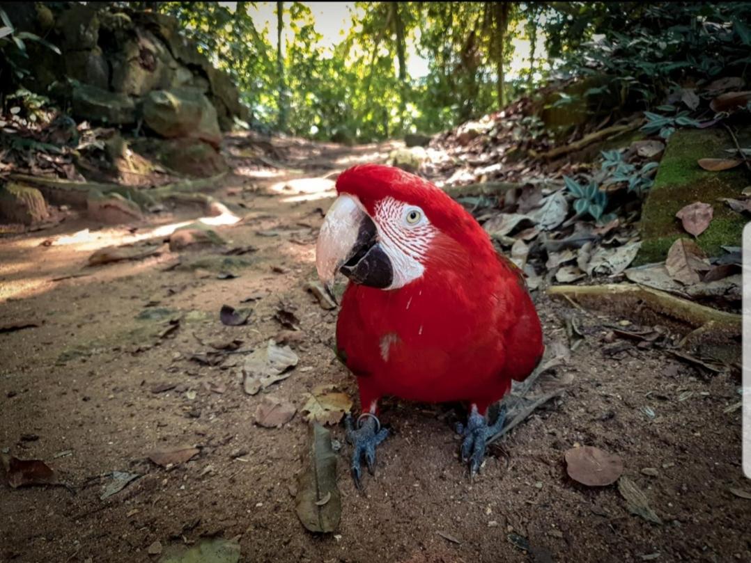 Recanto Da Gipoia Angra dos Reis Buitenkant foto